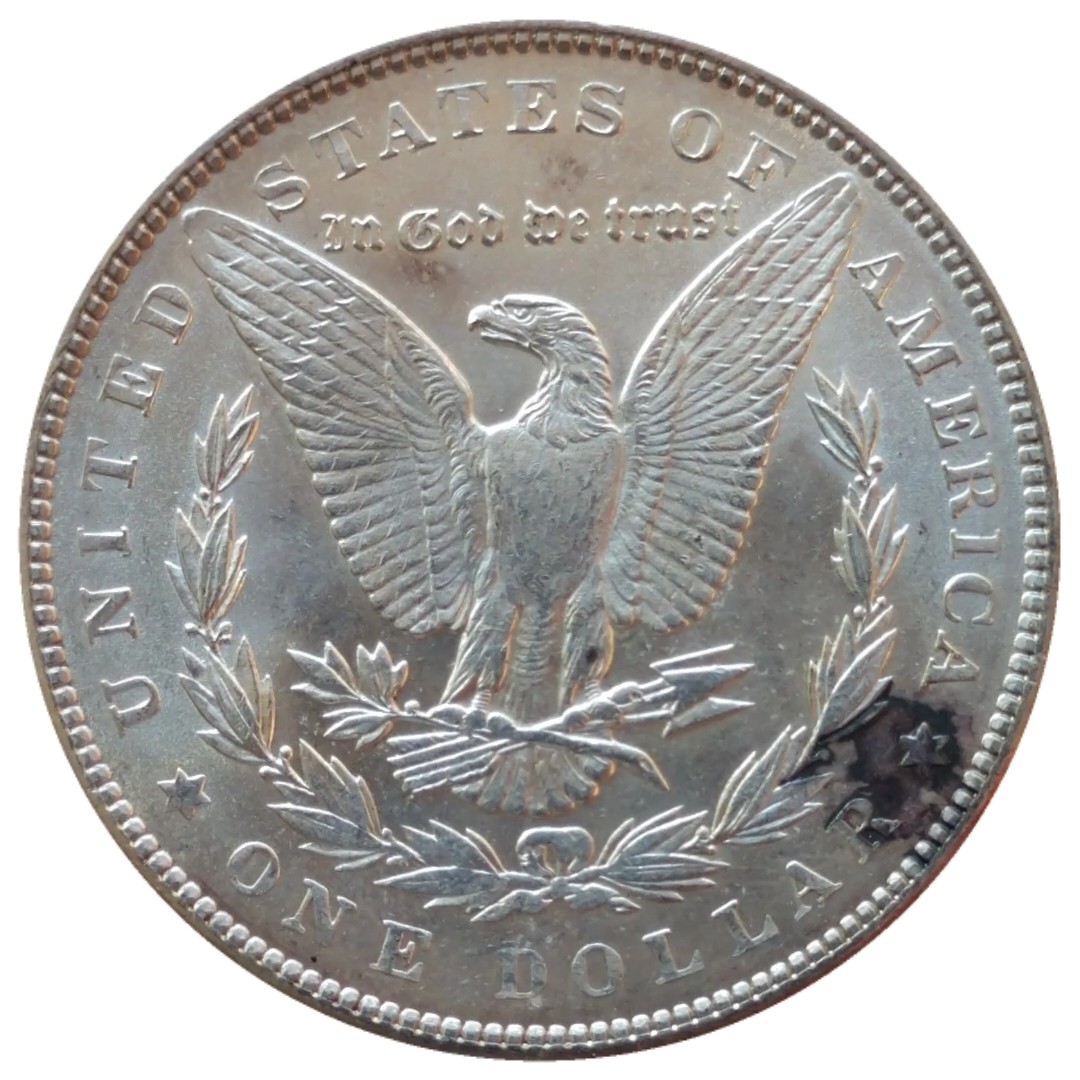1889-$1-Morgan-Dollar-#8